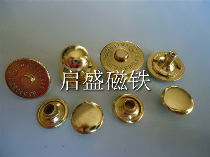 磁鈕 (5)