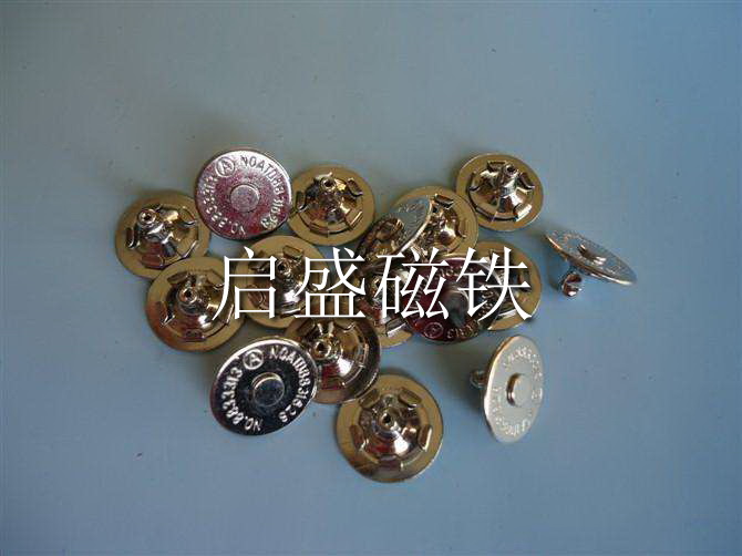 磁鈕 (6)