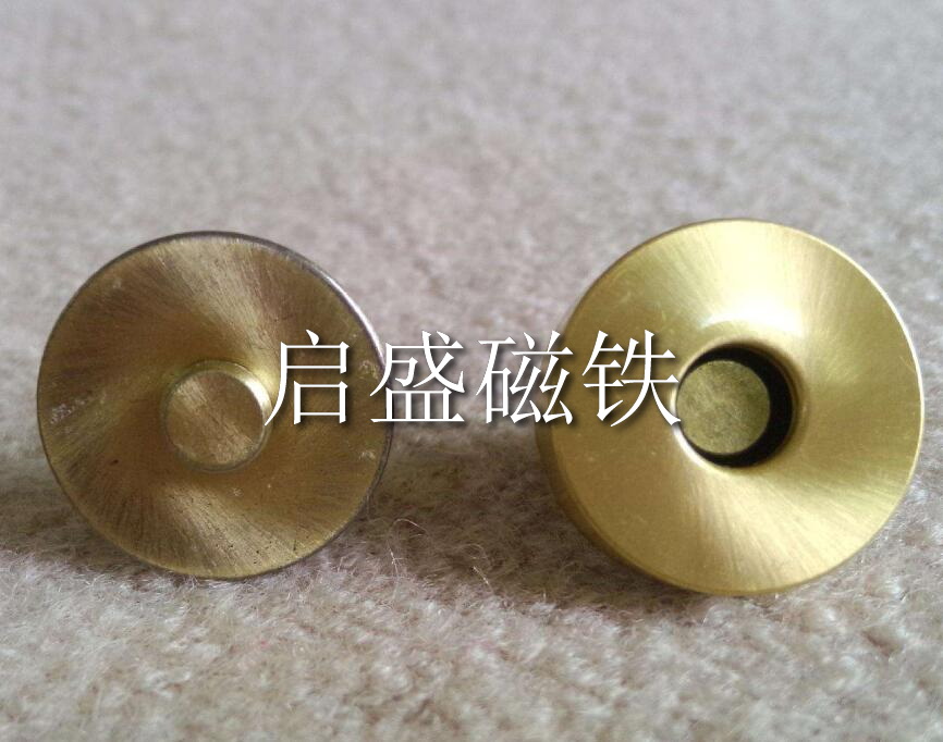 磁鈕 (22)