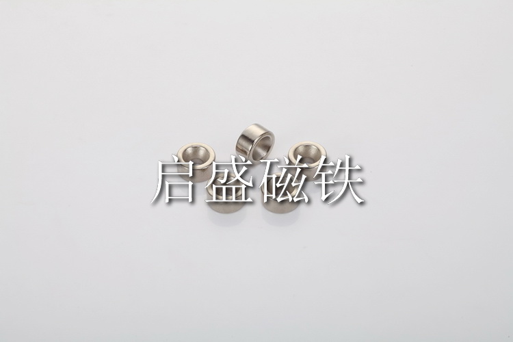 異形磁鐵 (11)