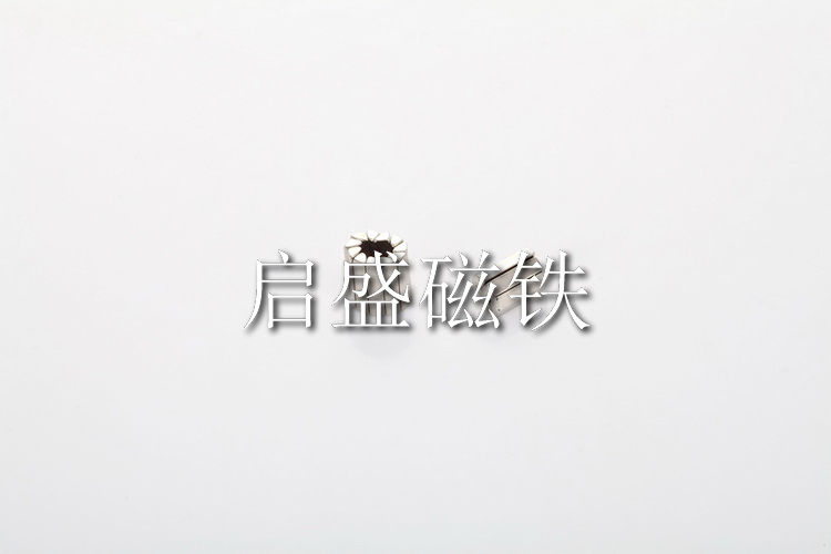 異形磁鐵 (22)