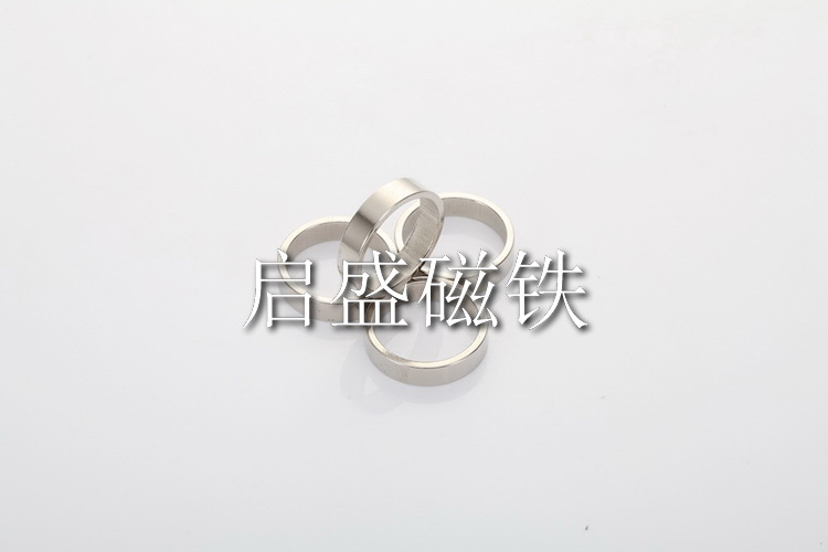圓形磁鐵 (16)