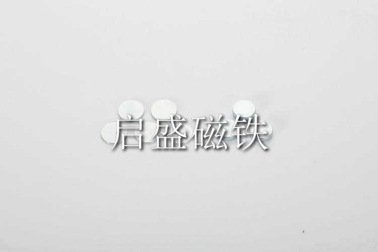 圓形磁鐵 (22)
