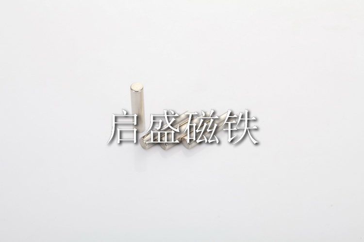 圓形磁鐵 (24)